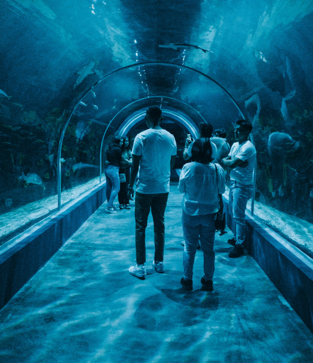 coastal consultancy statistics image